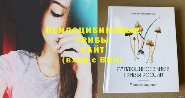 марки nbome Няндома
