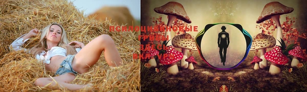 марки nbome Няндома