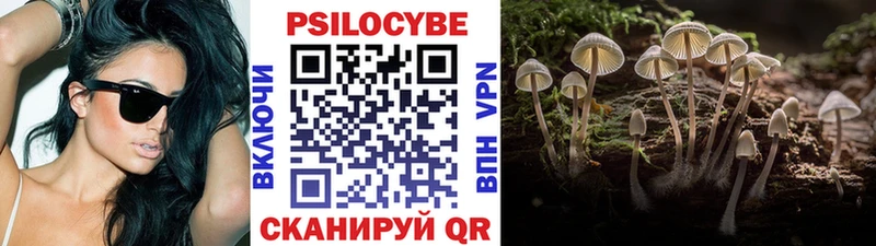 hydra ССЫЛКА  сколько стоит  даркнет клад  Галлюциногенные грибы прущие грибы  Ужур 