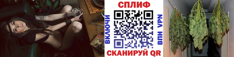 darknet клад  Ужур  Бошки Шишки OG Kush 